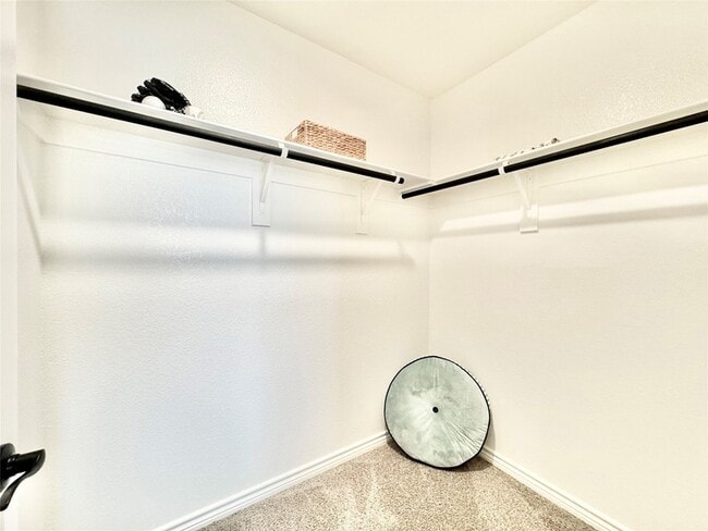 Building Photo - 8725 Scotty's Lk Ln