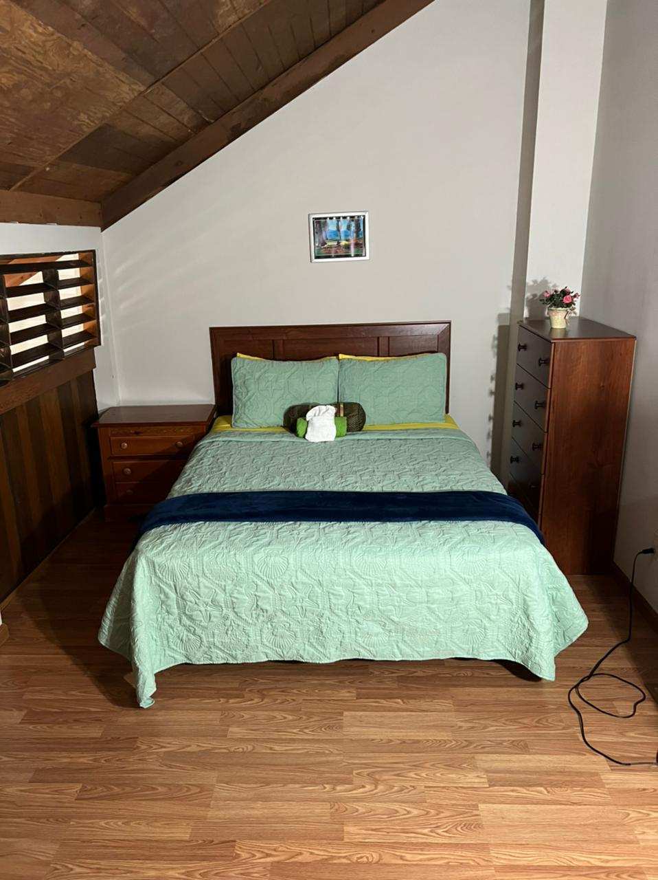 2nd Floor - Queen Size Bed With Nightstand And Drawer - 306 21st Ave S