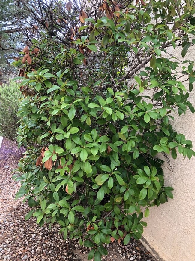 Building Photo - Honey, I’m Home! This Lovely 3 Bedroom, Two-Story Home Is Located In Summerlin.