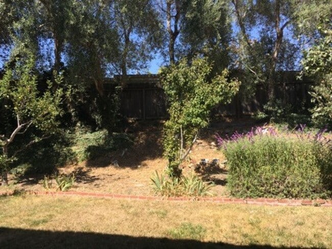 Building Photo - 62 Young Dr