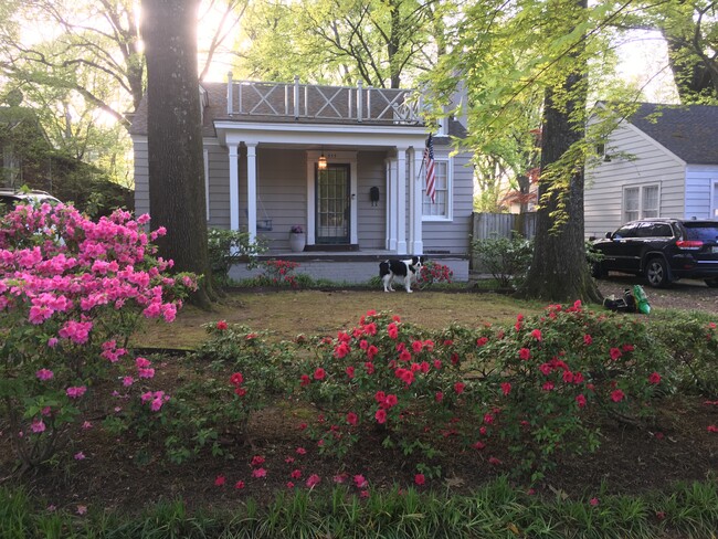 Primary Photo - 555 S Holmes St