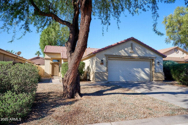 Building Photo - 30496 Maple Chase Dr