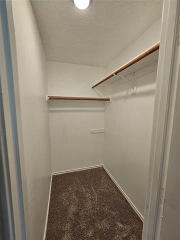 Building Photo - 215 Piccadilly Cir