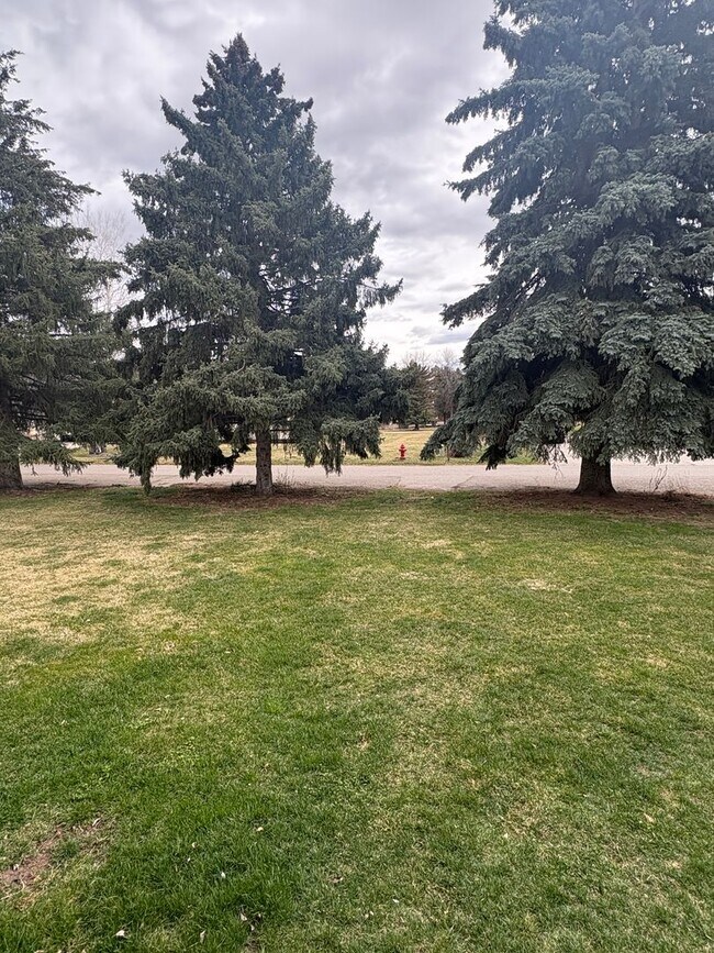 Building Photo - 3 Bed 2 Bath Single Family Home with Additional Space in Basement!