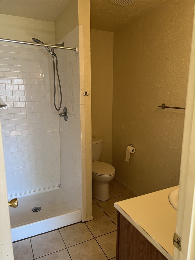 Master Bath - 542 Methodist