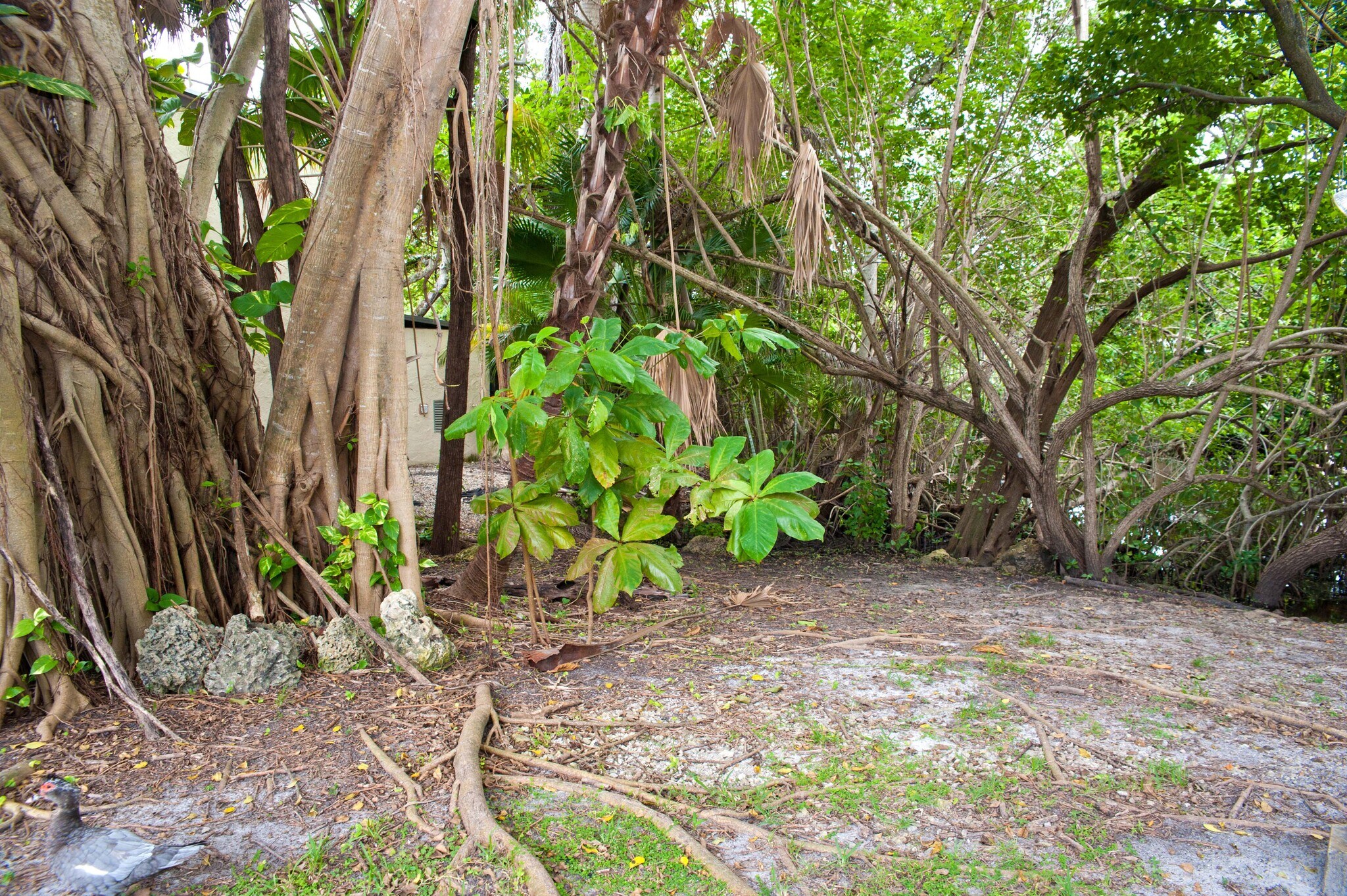 Building Photo - 19216 NE 25th Ave