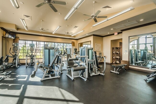 Building Photo - Beautiful Pool home in Starkey Ranch avail...