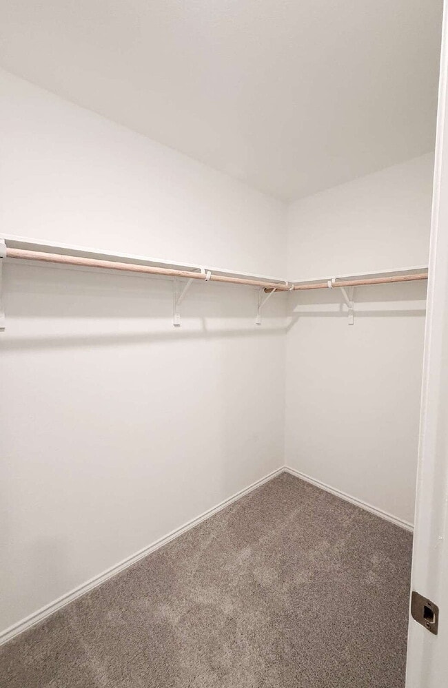 Building Photo - One Story 4 Bedroom/2Bath - For Rent - San Marcos, TX - Minutes From Shopping, Entertainment, and...