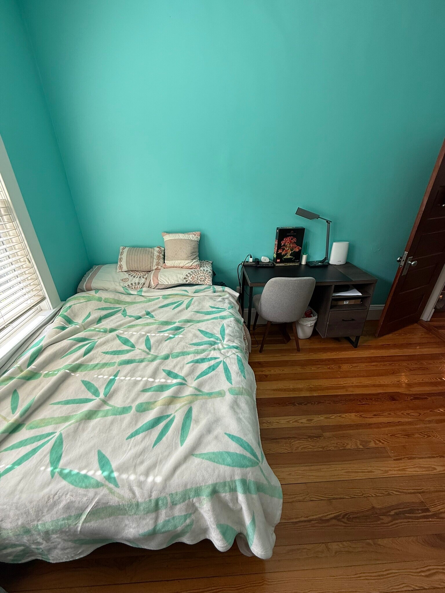 Second Bedroom - 85 Clifton St