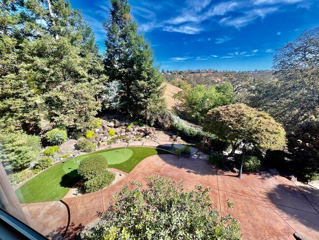 Building Photo - 3381 Black Oak Dr