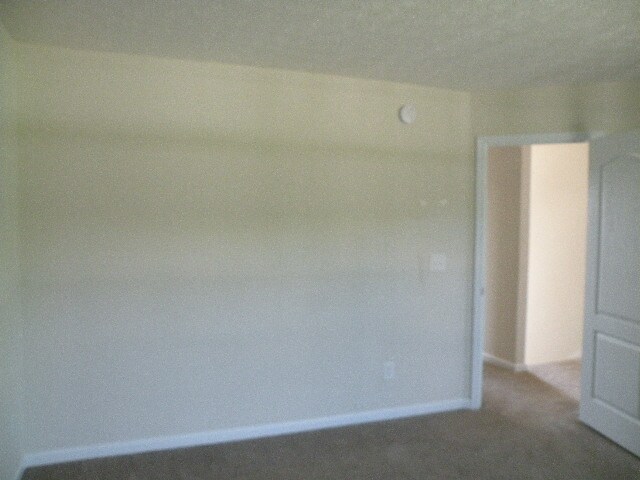 Building Photo - Beautiful custom home, don't want to miss this one!