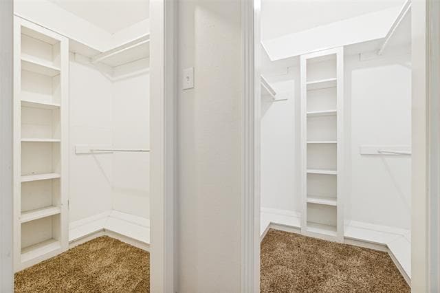 Building Photo - 3611 Stables Ln