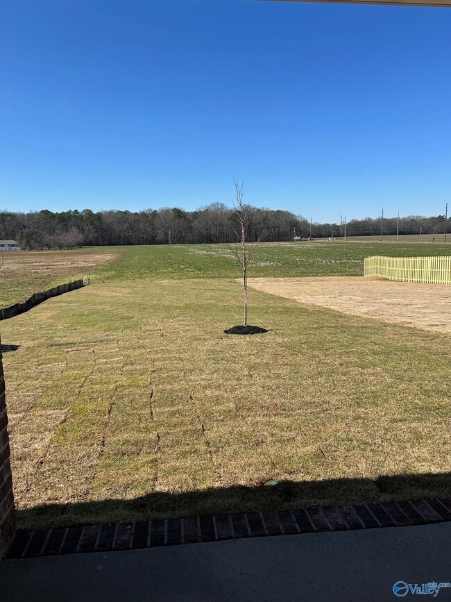 Building Photo - 3405 Cool Spgs Ave SW