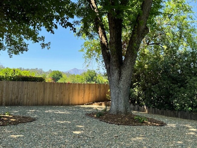 Building Photo - Remodeled home with a view