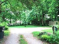 Back yard and off-street parking - 176 Woodland Ave