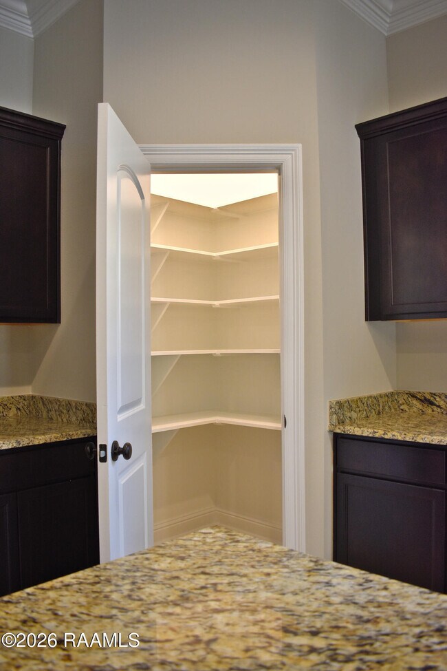 Building Photo - 421 Berg Ct