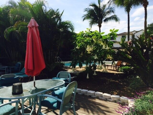 Pool - 100 Isle of Venice Ft. Lauderdale, FL 33301