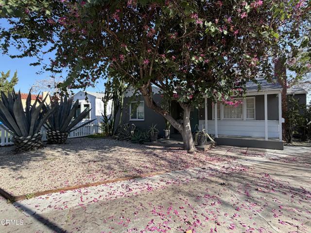 Building Photo - 230 W Elmwood Ave