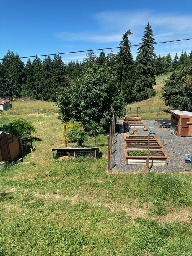 Building Photo - Charming 3 Bedroom 2 Bath home in White Sa...