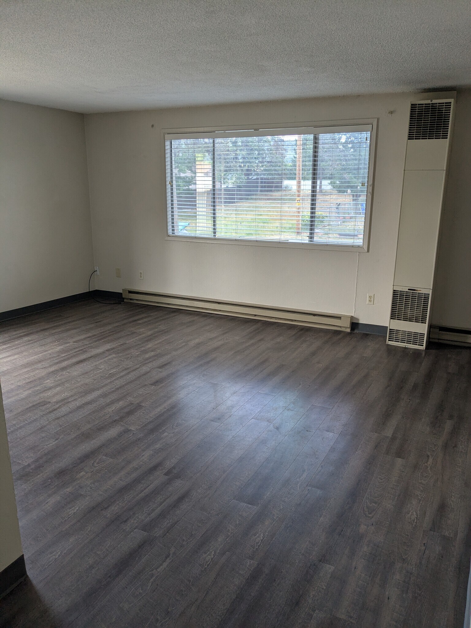 living room - 1427 Lakeview Ave