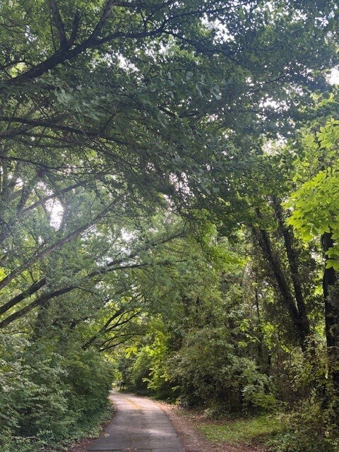 Private & Secluded setting - 1301 Buffalo St