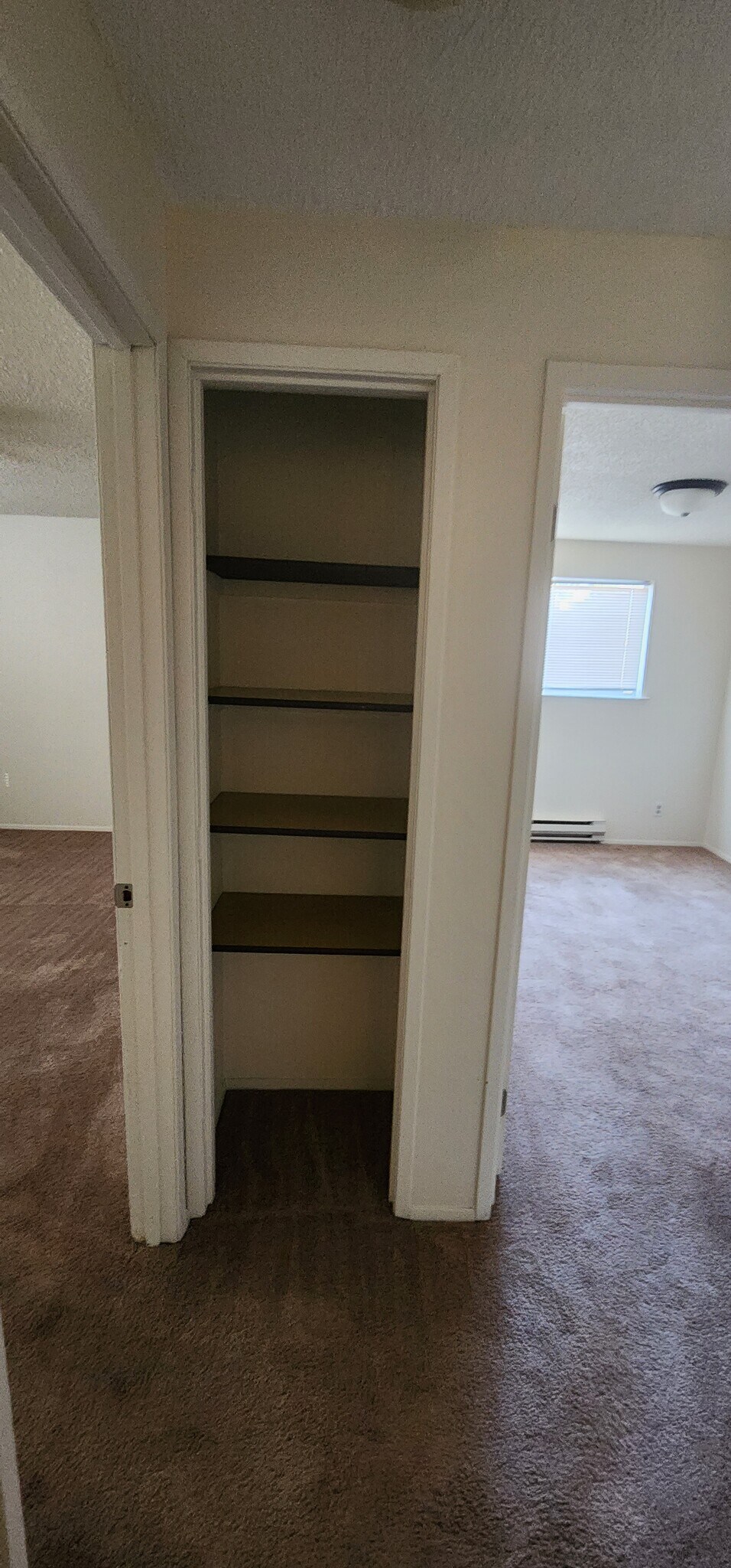 Storage/ Closet - 521 159th St E