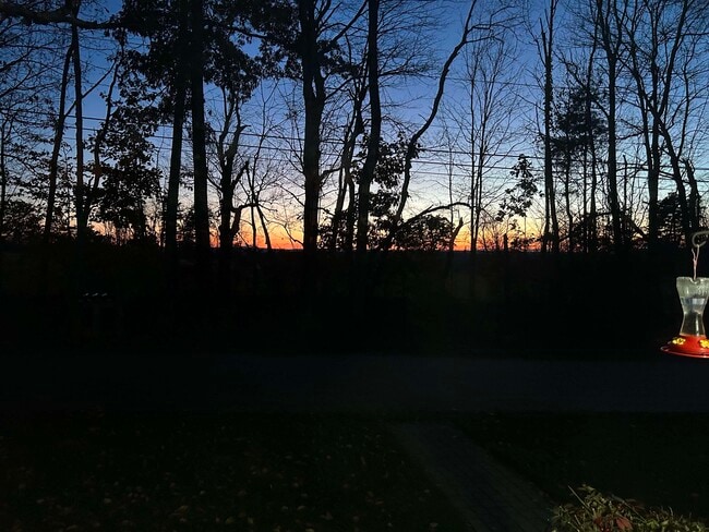 Building Photo - 293 Bear Hill Rd