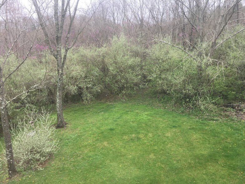 backyard - 44 Westfield Pl