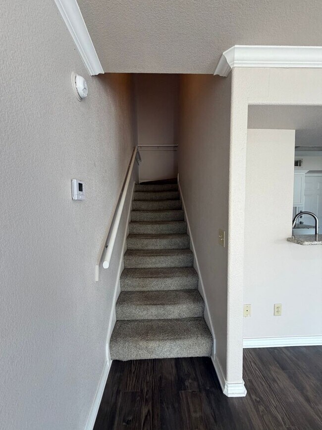 Building Photo - 2531 Pascal Ct