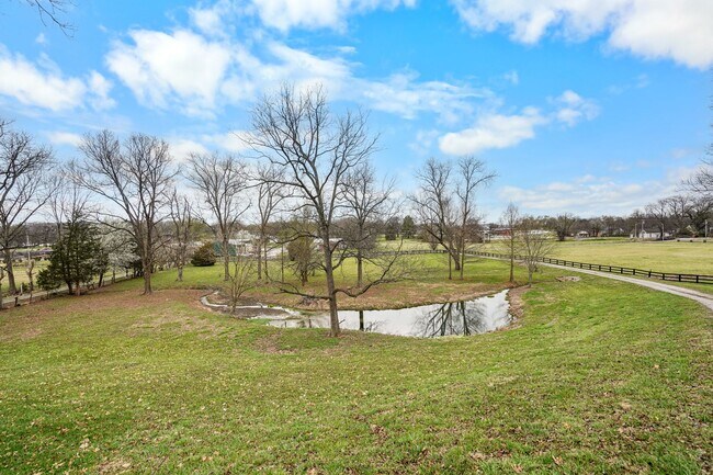 Building Photo - 251 Cheatham Springs Rd