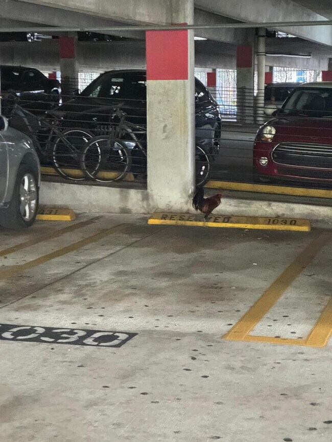 Building Photo - 850 N Miami Ave