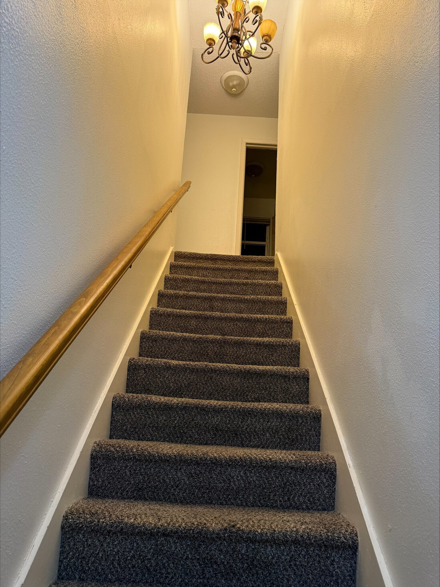 stairs leading up - 1333 Carriage Dr