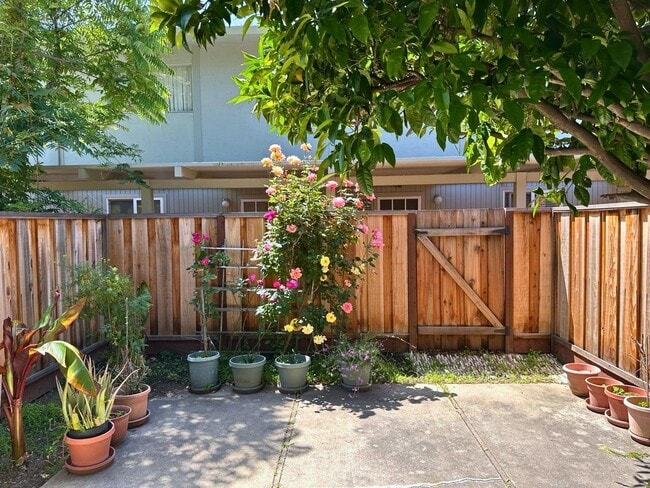 Building Photo - 2047 Montecito Ave