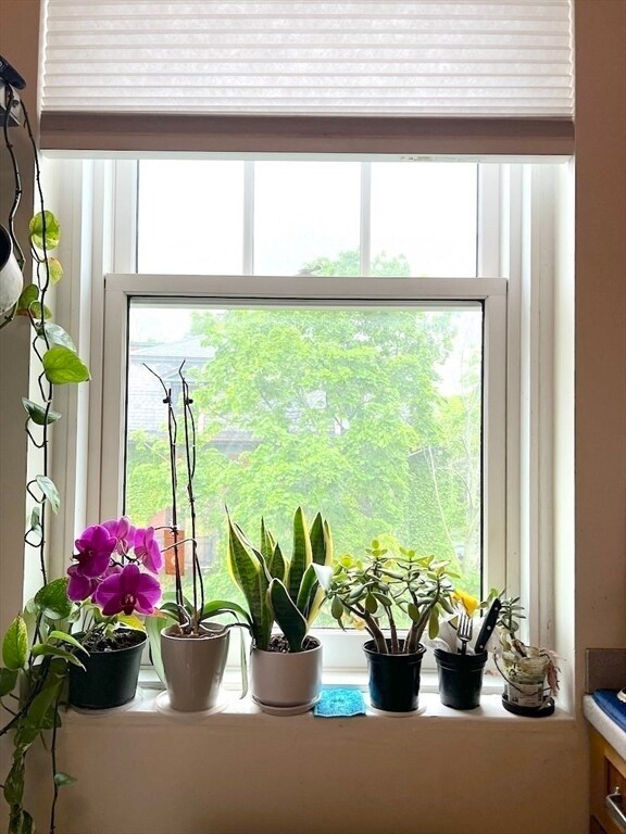 Building Photo - 371 Harvard St