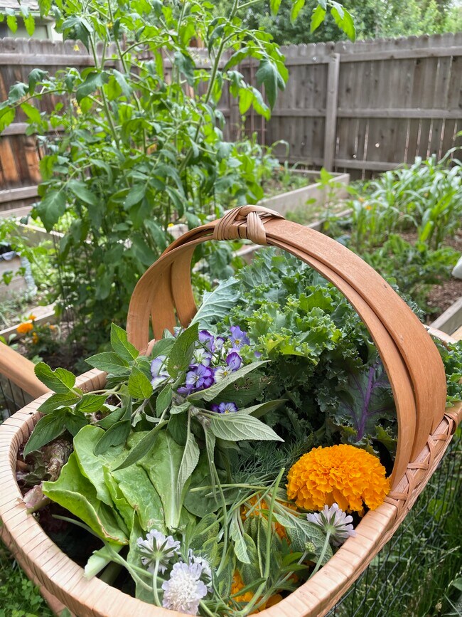 Building Photo - 417 E Magnolia St