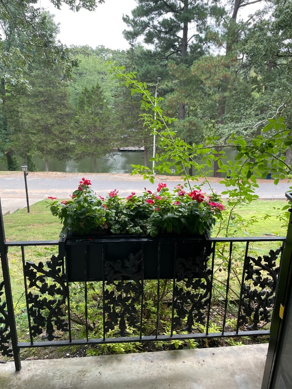 Building Photo - 3737 Lakeshore Dr