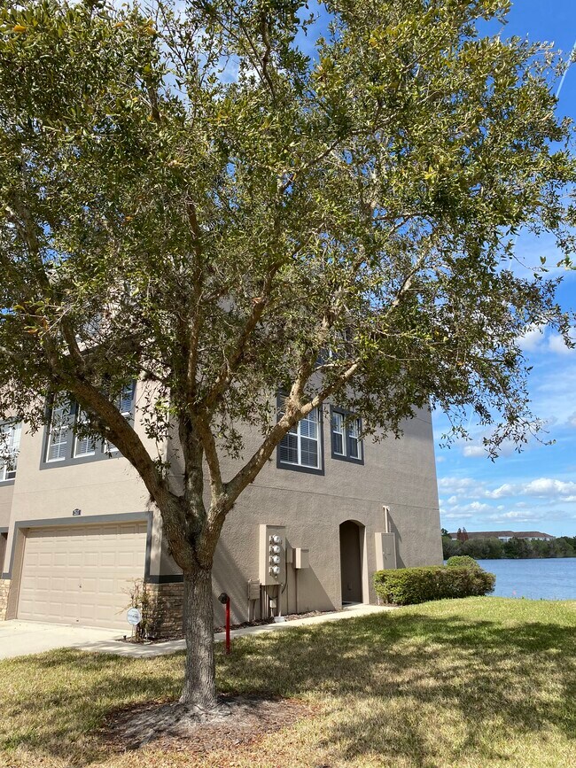 Building Photo - 2517 Lexington Oak Dr