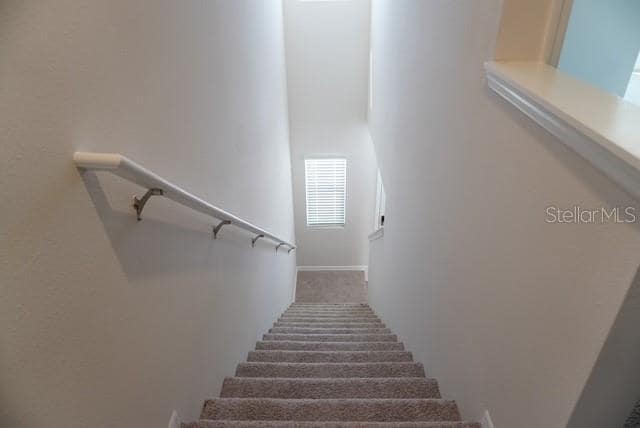 Building Photo - 4666 Stargazer Ct