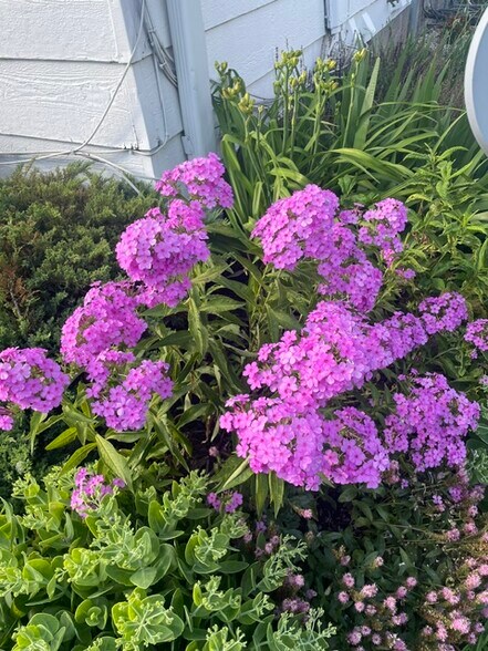 Lots of flowers! - 322 3rd Ave SE