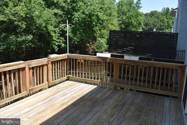 Building Photo - 1302 Arabis Ct