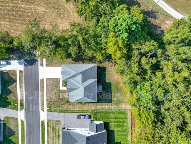 Building Photo - 631 Silva Ln