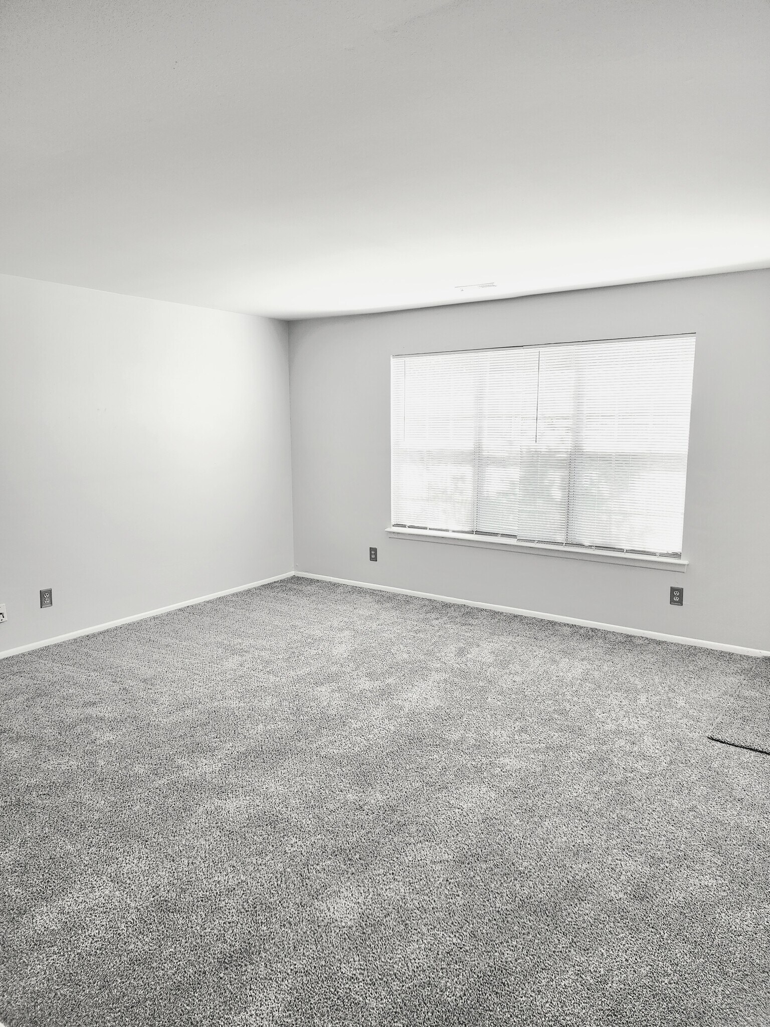 Building Photo - 366A Delancey Pl