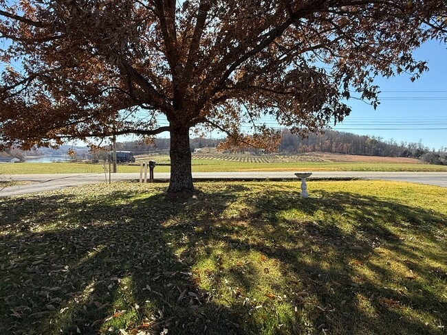 Building Photo - Intro to Homesteading! 3/1 furnished Property for rent