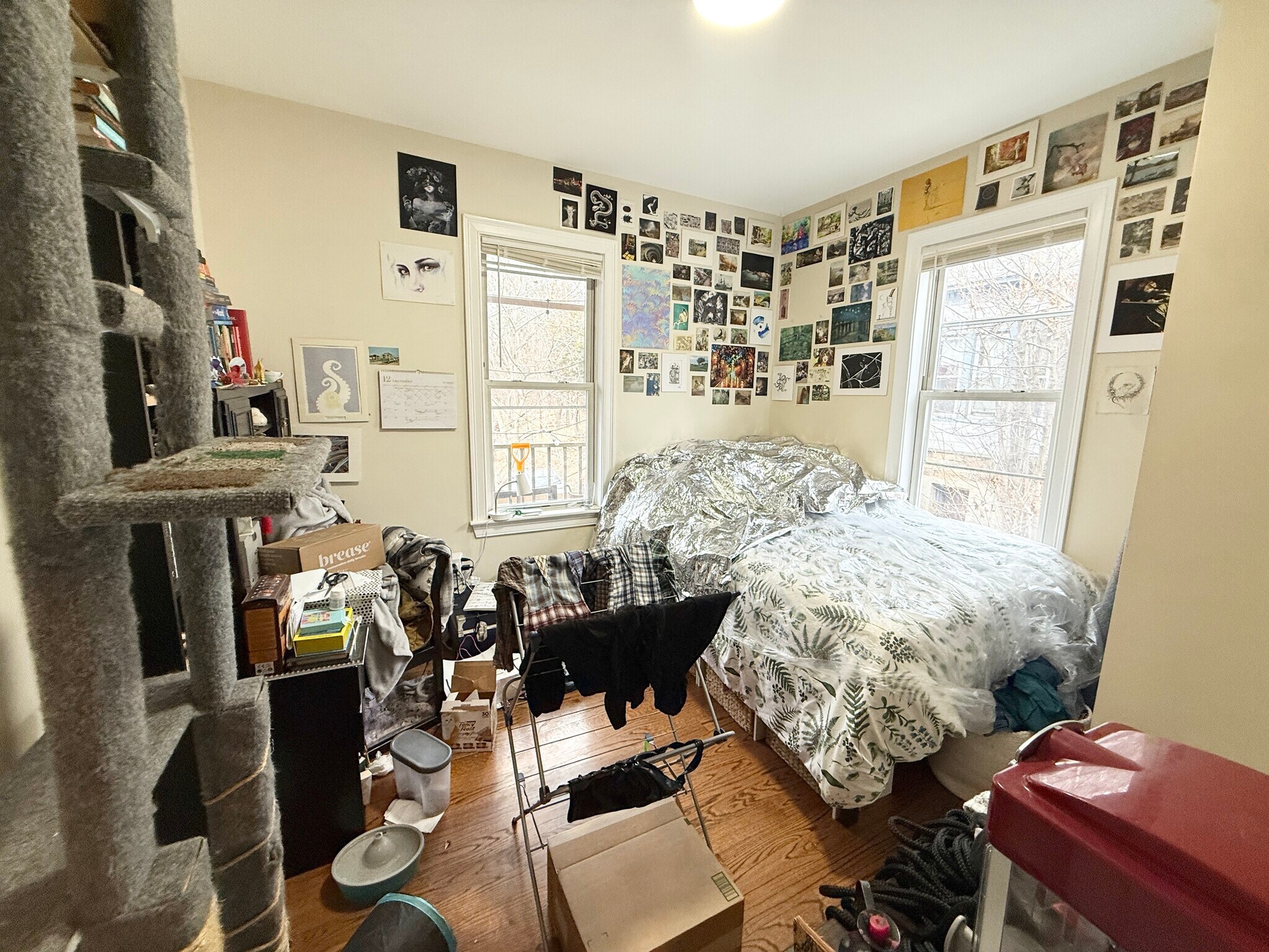 Building Photo - 12 Bickford Ave