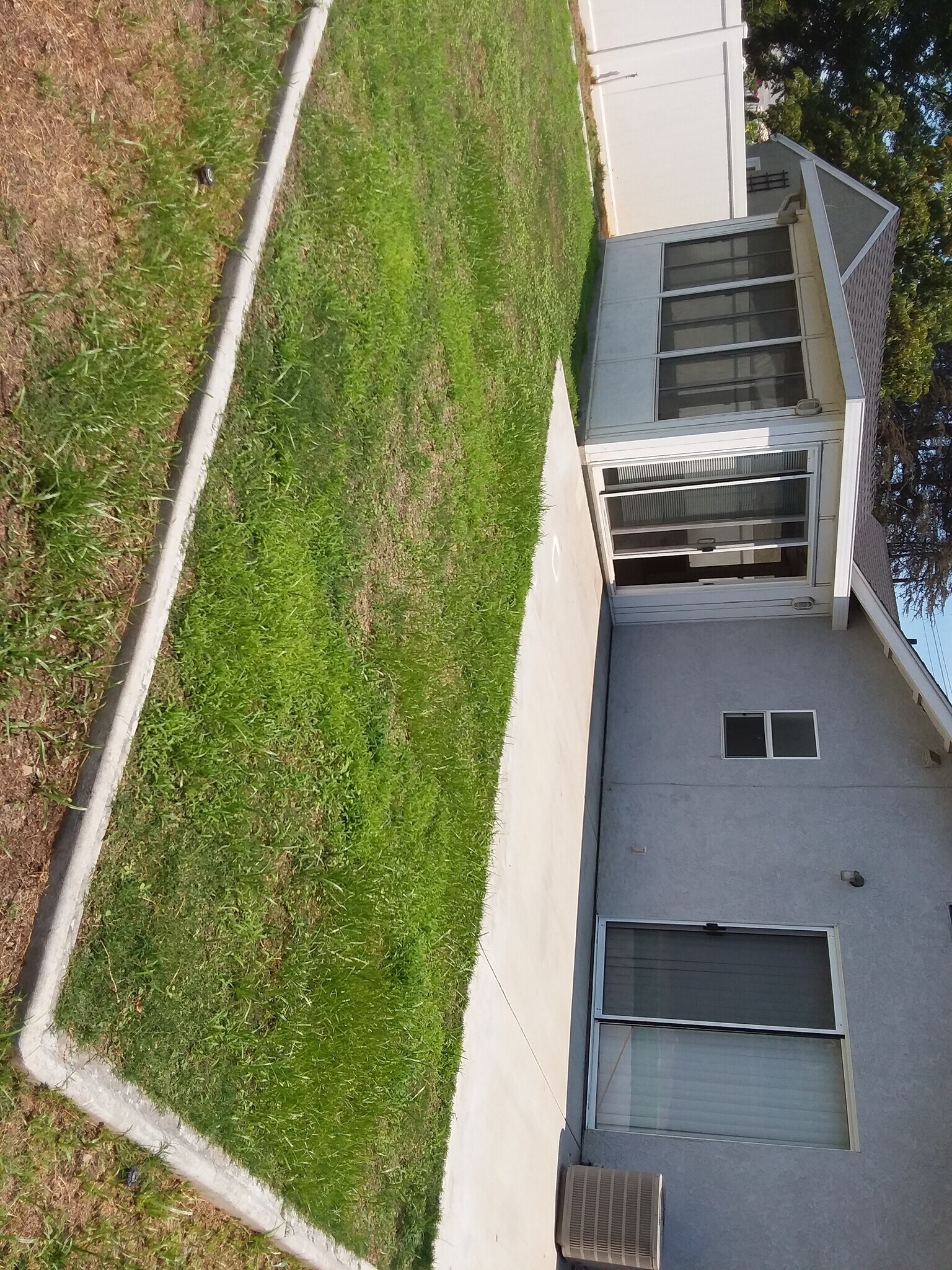 rear Yard - 520 N Cambridge St
