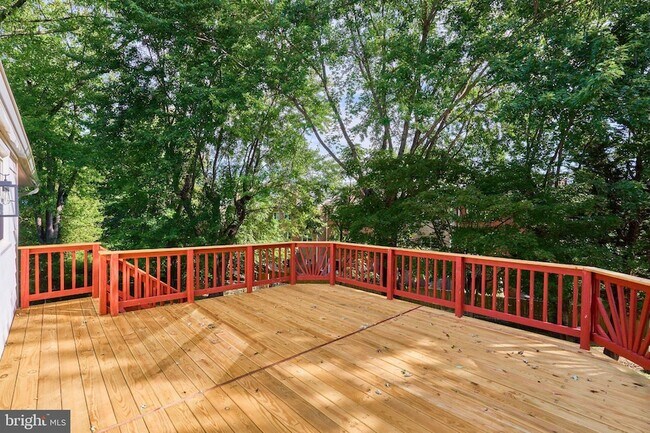 Building Photo - 2807 Schafflind Ct