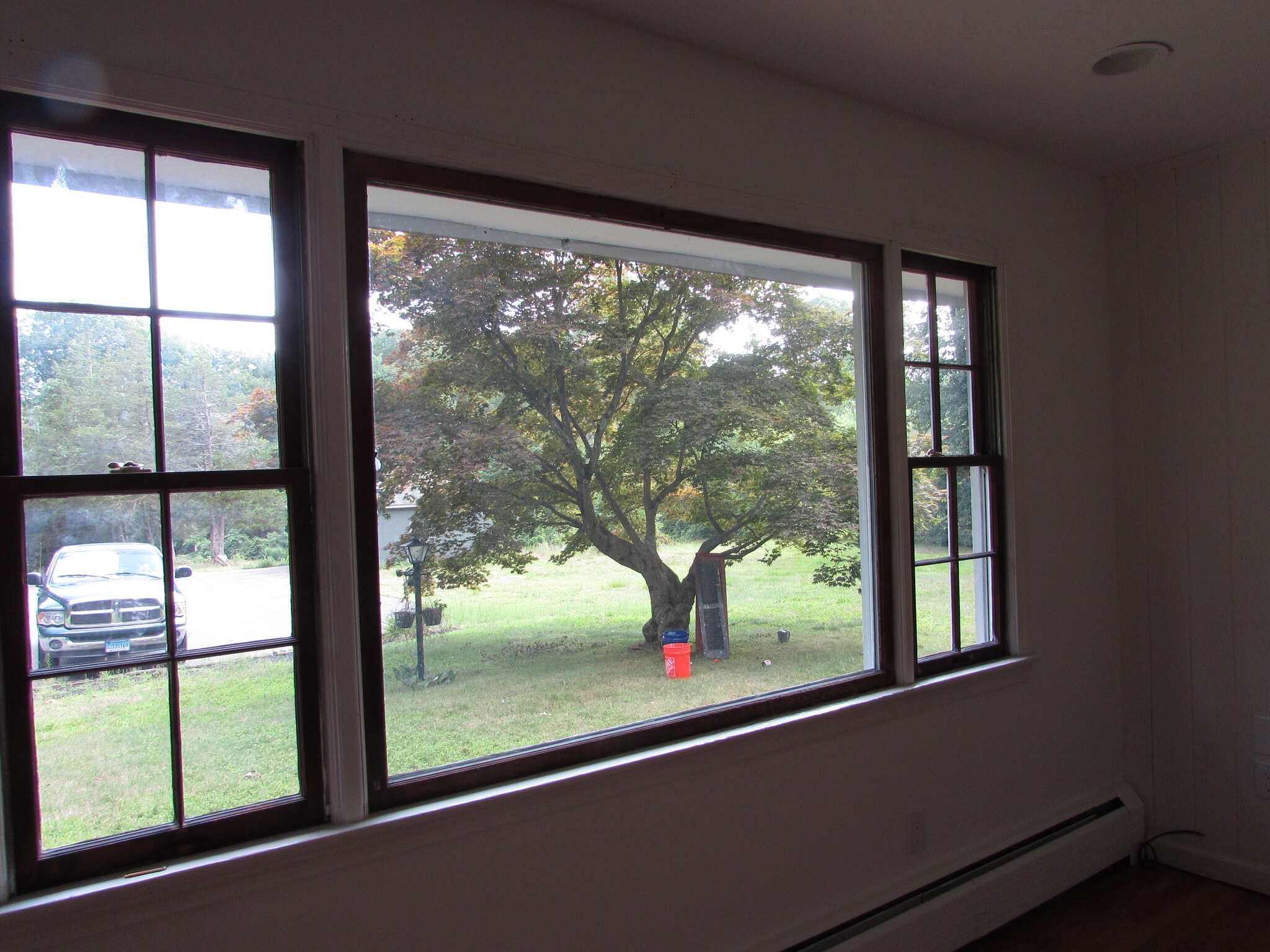 Living room picture window overlooking mature Japanense Maple tree - 97 Scrub Oak Rd