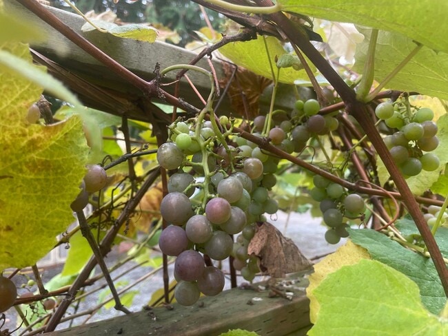 Building Photo - Nicely Maintained Clinton Home with Upgrades and Fenced Yard!