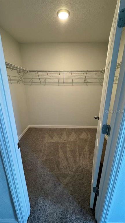 Building Photo - 1298 Wispy Cypress Dr