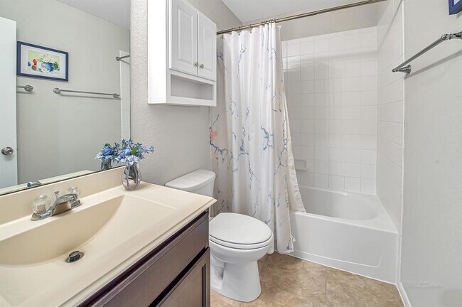 Building Photo - 3023 Dripping Springs Ct